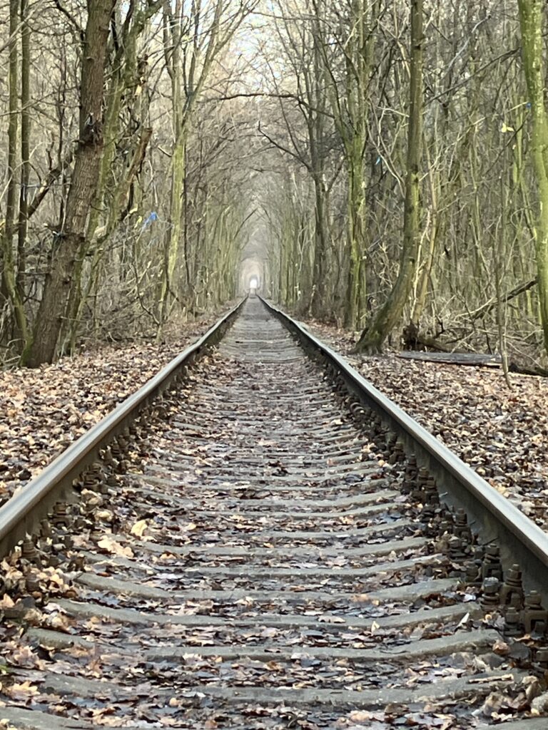 LOW TUNNEL