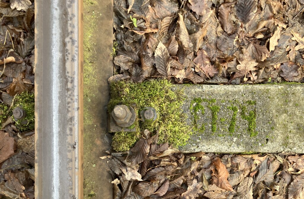 MOSS & TIE