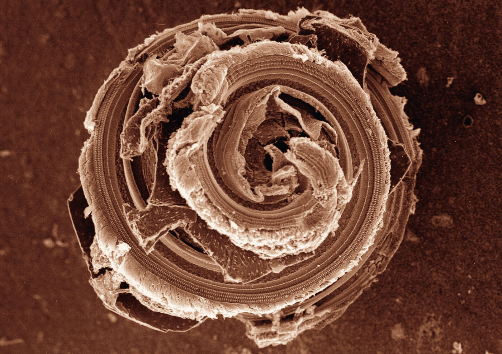 TONSPUR_display #16 • Helena Wikström • Time To Listen